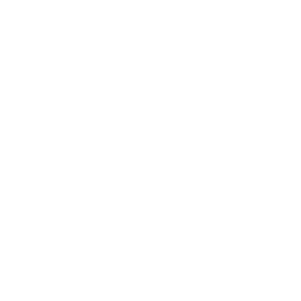 E Valle Inc Project